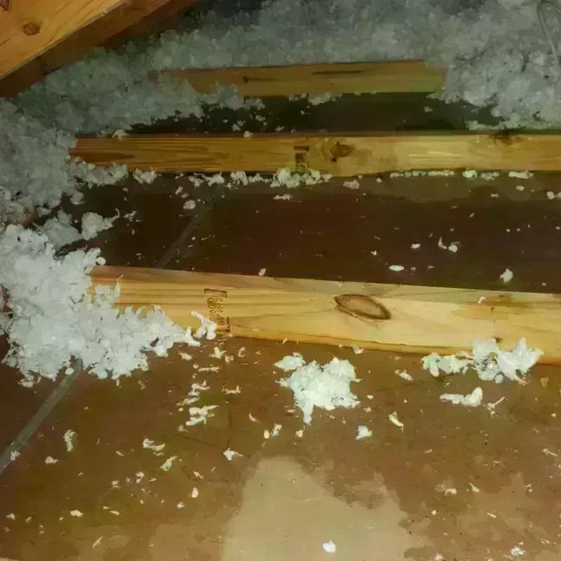 Attic Water Damage in Nescopeck, PA